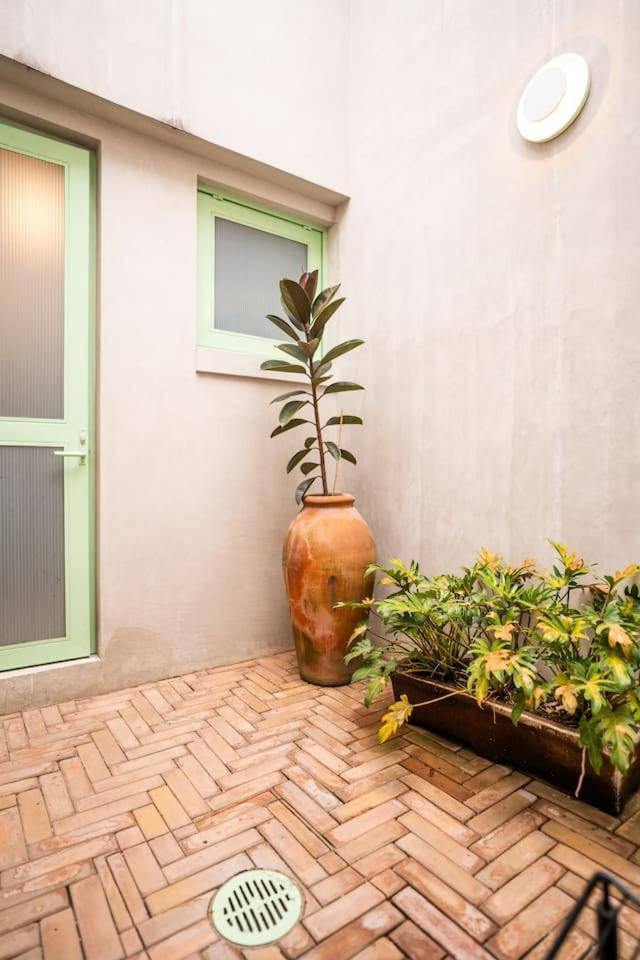Charming Cozy In The Heart Of Coyoacan