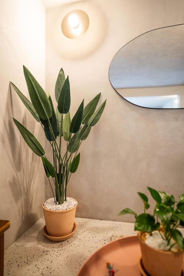 Charming Cozy In The Heart Of Coyoacan Mexico City