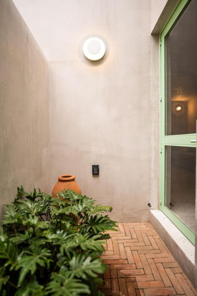 Apartment Charming Cozy In The Heart Of Coyoacan Mexico City